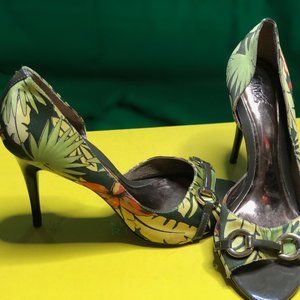 Carlos Santana Flora Heals